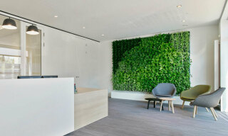 Accueillir la nature dans votre environnement de travail Accueillir la nature dans votre environnement de travail image