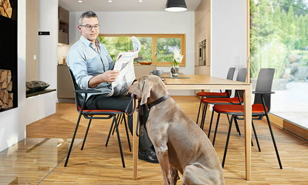 Giroflex 151 - modern ontwerp en praktisch in gebruik. image